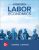 Labor Economics 9th Edition  By George Borjas – Test Bank