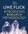 Introducing Research Methodology Thinking Your Way Through Your Research Project Third Edition by Uwe Flick