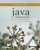 Java Software Solutions 9th Edition John Lewis SIKUTION – SOLUTION MANUAl