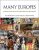 Many Europe Choice and Chance in Western Civilization 1st Edition By Paul Dutton And Suzanne – Test Bank