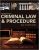 Criminal Law And Procedure An Overview 4th Edition by Ronald J. Bacigal – Study Guide