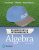 Elementary Algebra 4th Edition Michael Sullivan-Test Bank