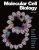 Molecular Cell Biology, 9th Edition Lodish, Berk, Kaiser, Krieger, Bretscher, Ploegh, Martin, Yaffe, Amon